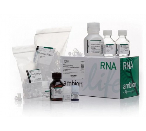 Набор RNAqueous-Micro Total RNA Isolation Kit, Thermo FS