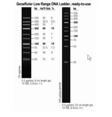 Маркер длин ДНК GeneRuler Low Range, 10 фрагментов от 25 до 700 п.н., готовый к применению, 0,1 мкг/мкл, Thermo FS